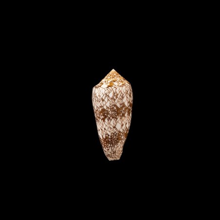 textile 2