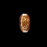 helvola meridionalis 2