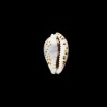diluculum 1