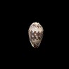 diluculum 2