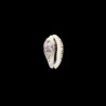 diluculum 3