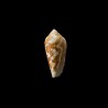 Episcopatus Golden 1