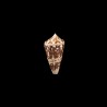 Ammiralis 2