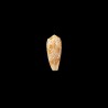 omaria viperinus 1