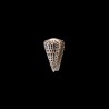 leopardus 3