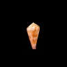 pertusus 1
