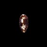 testudinaria ingens 1